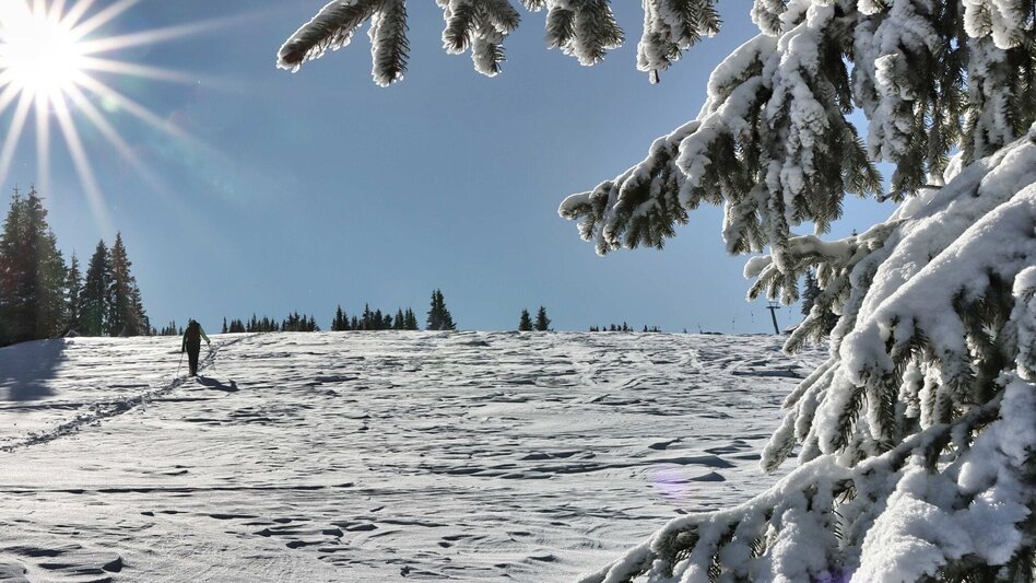 Wanderung Moschkogel - Touren-Impression #2.1 | © Weges OG
