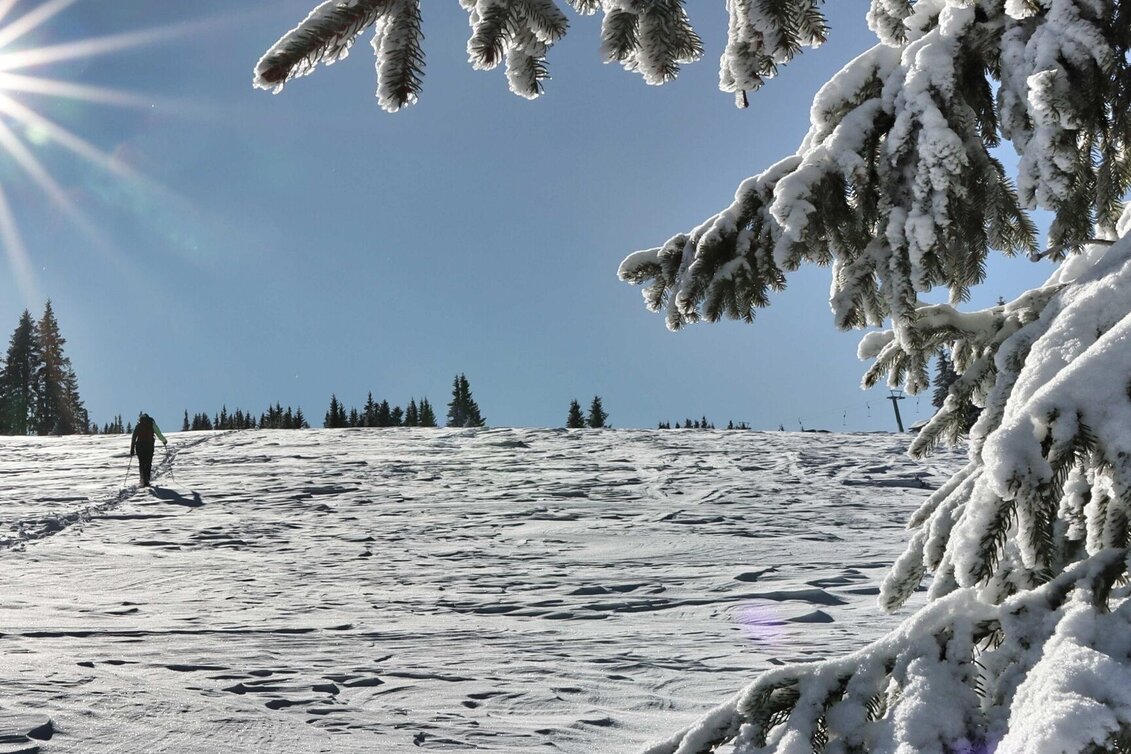 Wanderung Moschkogel - Touren-Impression #1 | © Weges OG