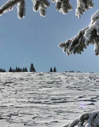 Aufstieg  bis zur Kopfstation des Schleppliftes | Weges OG | © Weges OG