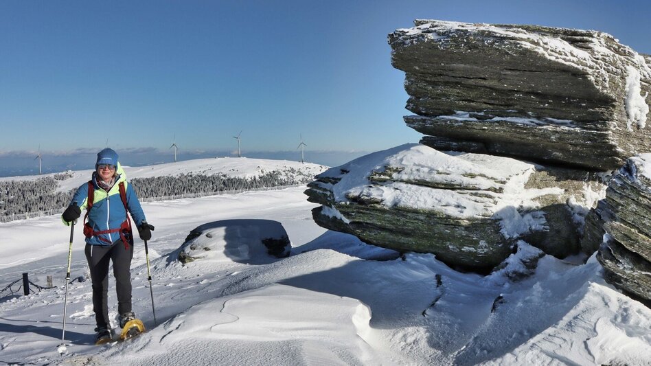 Wanderung Moschkogel - Touren-Impression #2.2 | © Weges OG