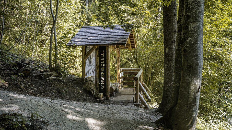 Wanderung Wanderung zur Schwefelquelle Wörschach - Touren-Impression #2.4
