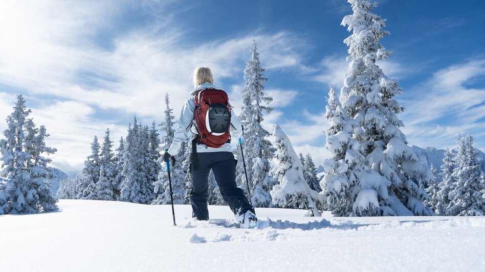 Ski Touring Skitour Planai-Fastenberg - Touren-Impression #2.1