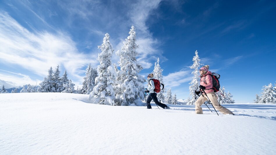 Ski Touring Skitour Planai-Fastenberg - Touren-Impression #2.2