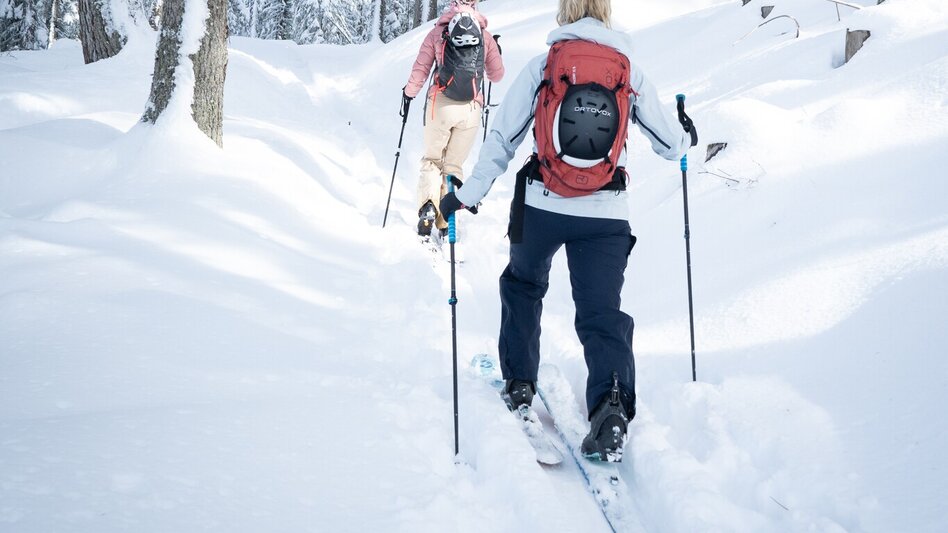 Ski Touring Skitour Planai-Fastenberg - Touren-Impression #2.4