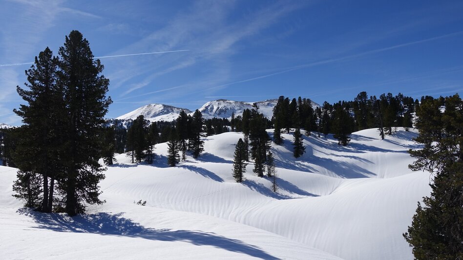 Ski Touring Ski tour "Notgasse" - Touren-Impression #2.8