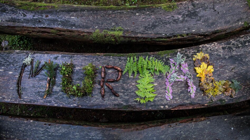 Wanderung Von der Waldheimhütte nach St. Wolfgang - Touren-Impression #2.4 | © Erlebnisregion Murtal