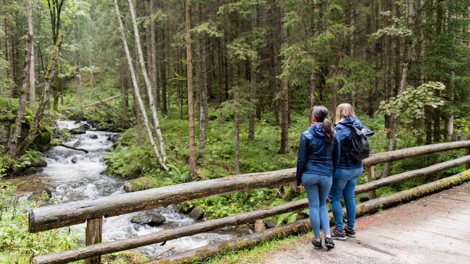 Wanderung Von der Waldheimhütte nach St. Wolfgang - Touren-Impression #2.1 | © ANITA_FOESSL