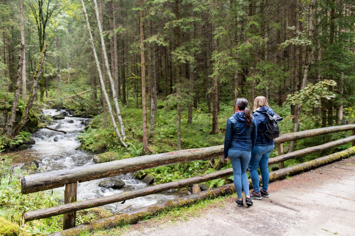 Wanderung Von der Waldheimhütte nach St. Wolfgang - Touren-Impression #1 | © ANITA_FOESSL
