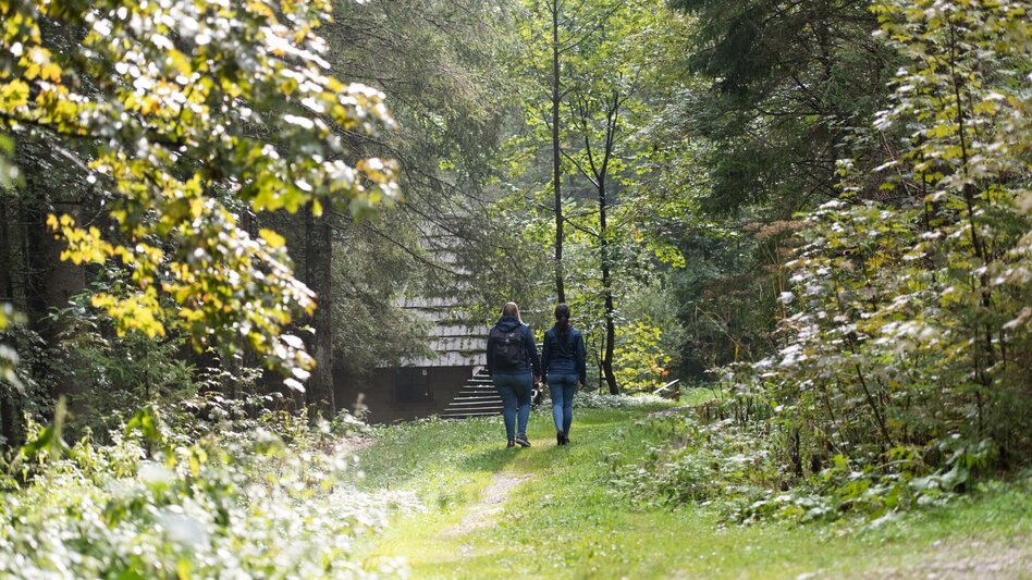 Wanderung Von der Waldheimhütte nach St. Wolfgang - Touren-Impression #2.5 | © ANITA_FOESSL