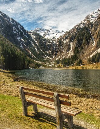 Bodensee_Frühjahr(c)Marlene Eggmayr.jpeg