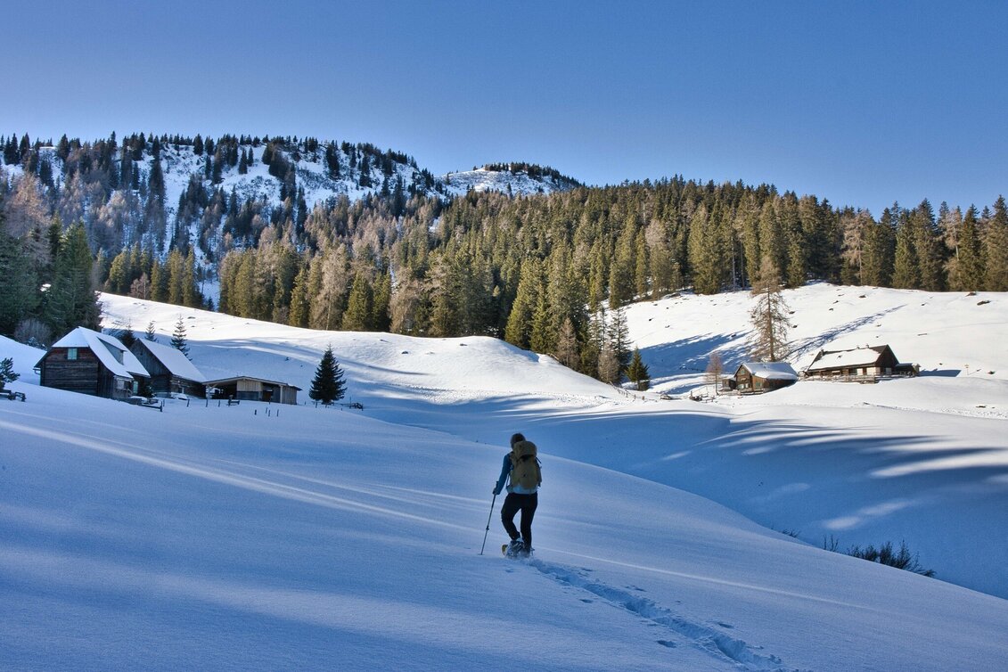 Winter Hiking Schwarzbeeralm, - Touren-Impression #1 | © Weges OG