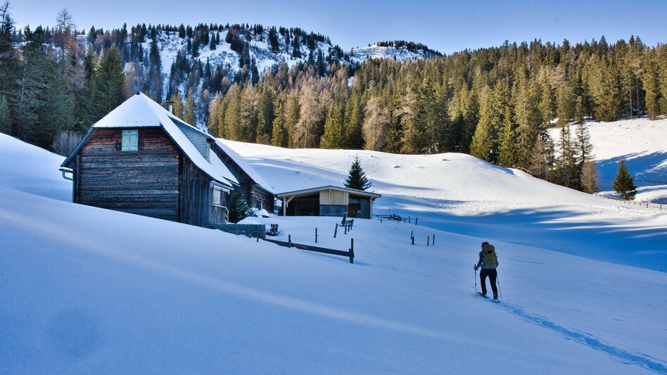 Winter Hiking Schwarzbeeralm, - Touren-Impression #2.3 | © Weges OG