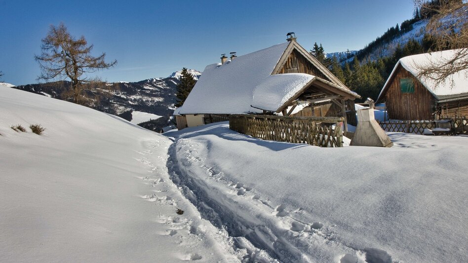 Winter Hiking Schwarzbeeralm, - Touren-Impression #2.6 | © Weges OG