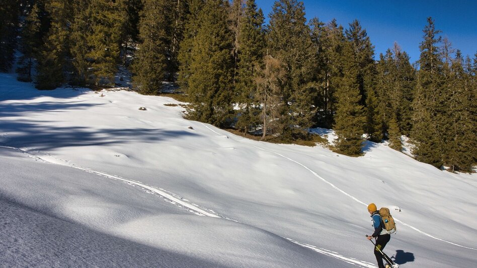 Winter Hiking Schwarzbeeralm, - Touren-Impression #2.7 | © Weges OG