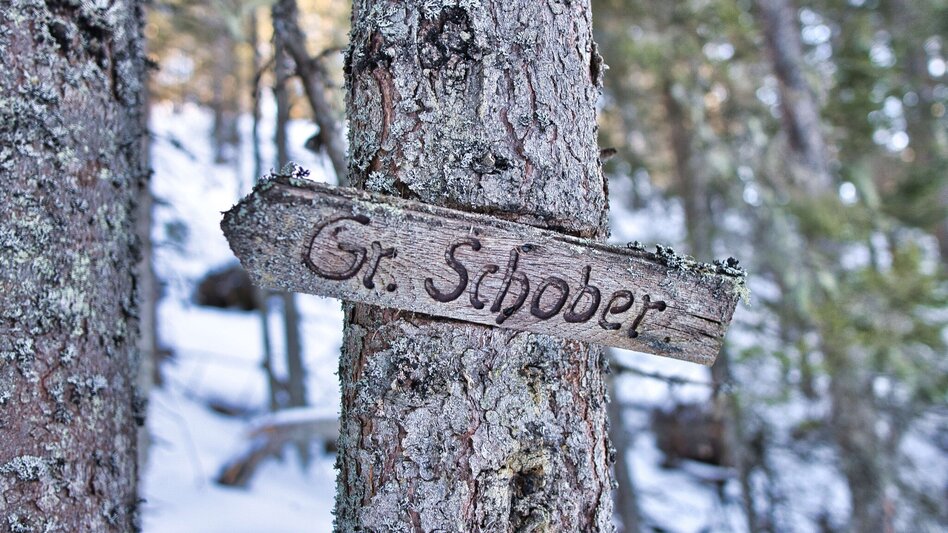 Winter Hiking Schwarzbeeralm, - Touren-Impression #2.8 | © Weges OG
