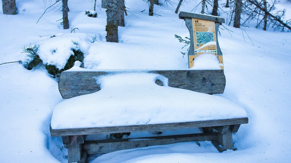Winter Hiking Schwarzbeeralm, - Touren-Impression #2.9 | © Weges OG