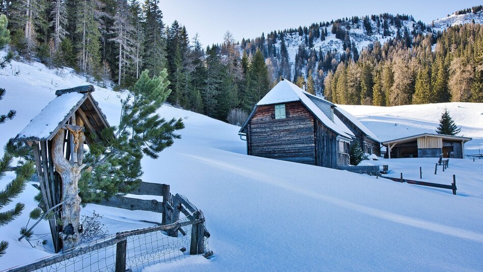 Winter Hiking Schwarzbeeralm, - Touren-Impression #2.10 | © Weges OG