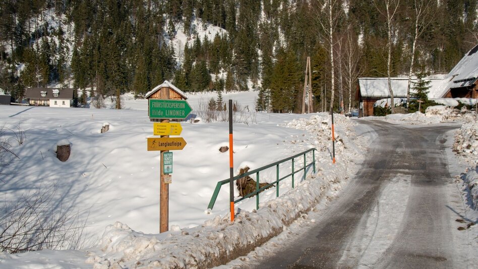 Ski nordic skating Hinterwildalpen cross-country ski trail - Touren-Impression #2.2 | © TV Gesäuse