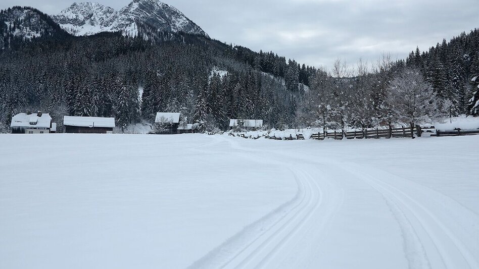 Ski nordic skating Hinterwildalpen cross-country ski trail - Touren-Impression #2.4 | © TV Gesäuse
