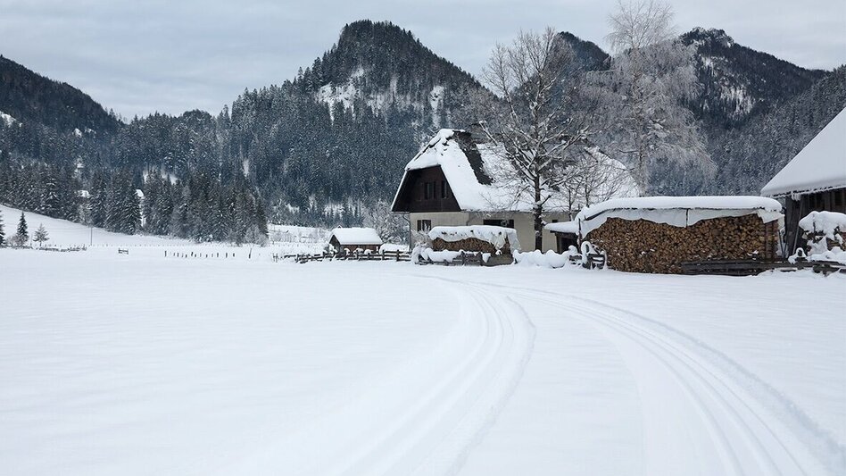 Ski nordic skating Hinterwildalpen cross-country ski trail - Touren-Impression #2.5 | © TV Gesäuse
