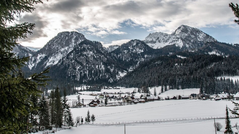 Ski nordic skating Sunny side trail Hinterwildalpen - Touren-Impression #2.1 | © TV Gesäuse