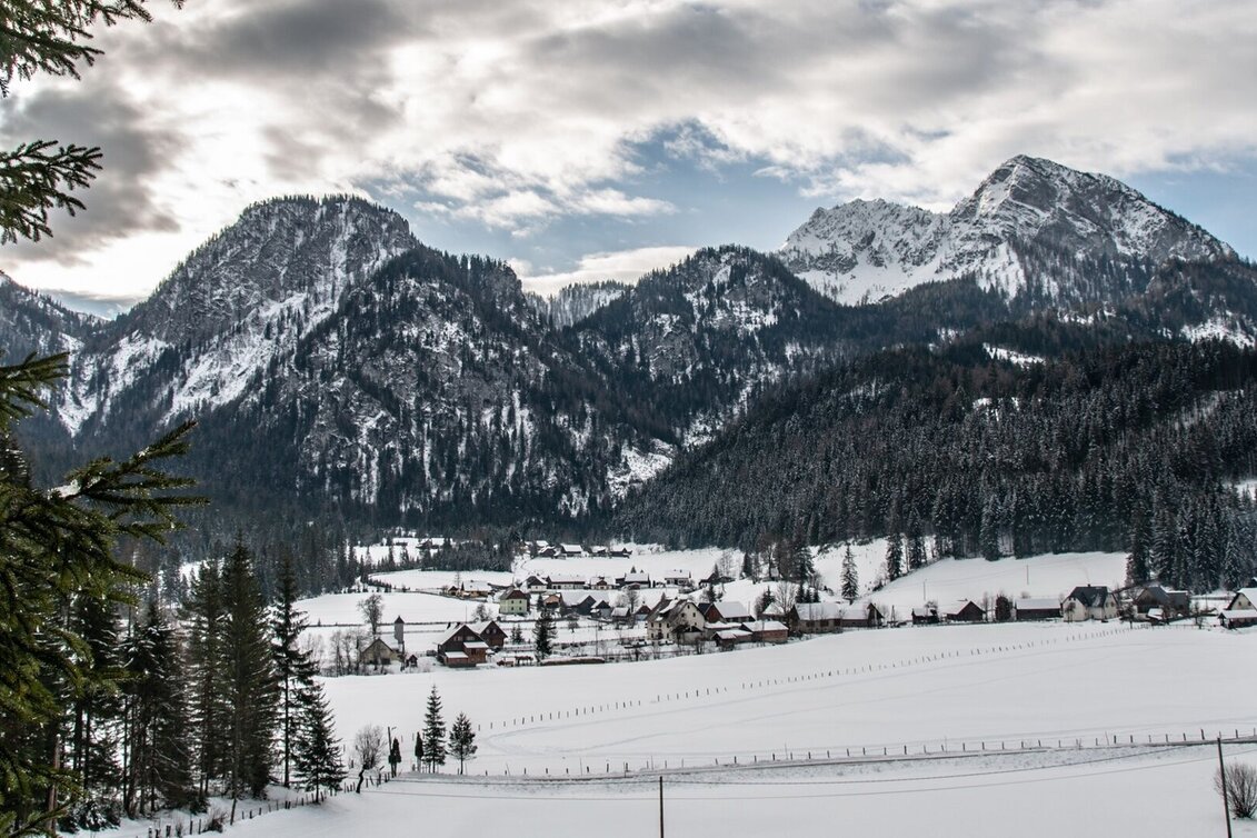 Ski nordic skating Sunny side trail Hinterwildalpen - Touren-Impression #1 | © TV Gesäuse
