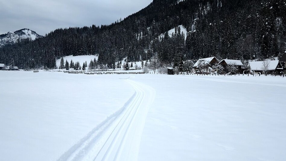 Ski nordic skating Sunny side trail Hinterwildalpen - Touren-Impression #2.2 | © TV Gesäuse