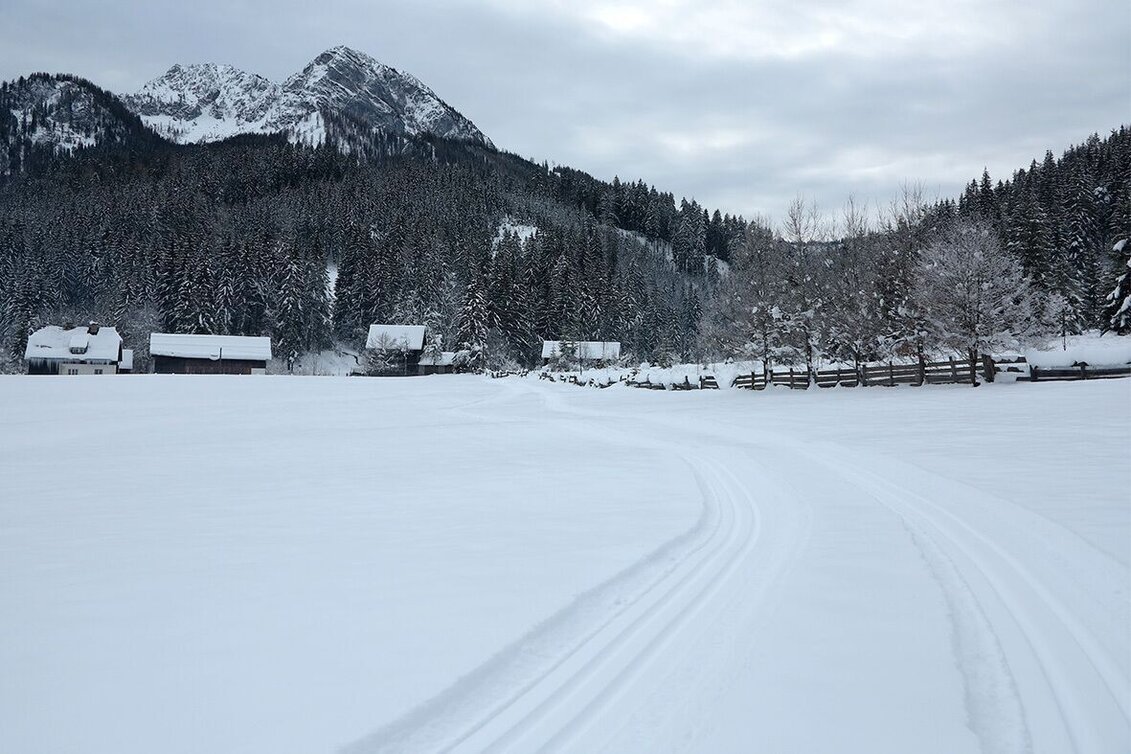Ski nordic skating Wildalpen panoramic cross-country ski trail - Touren-Impression #1 | © TV Gesäuse