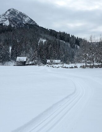 Loipe mit Blick auf den Grasberg | Tourismusverband Gesäuse | © TV Gesäuse