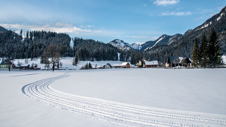 Ski nordic skating Wildalpen panoramic cross-country ski trail - Touren-Impression #2.3 | © TV Gesäuse