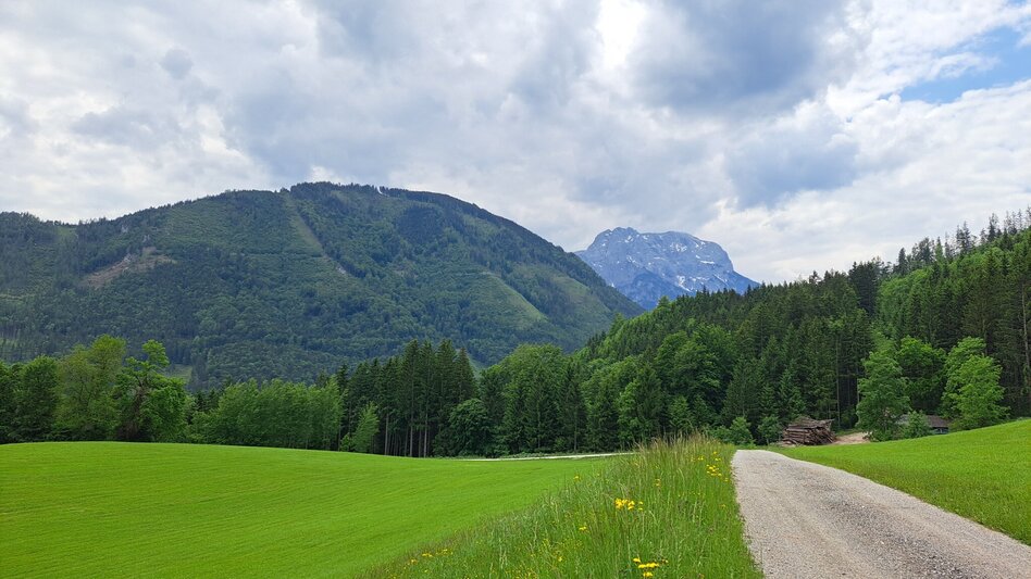 Nordic Walking Running Lap Milky Way - Touren-Impression #2.3