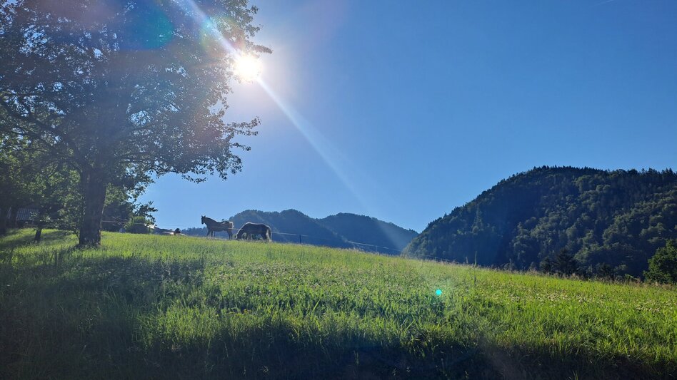 Nordic Walking Running Lap Milky Way - Touren-Impression #2.5