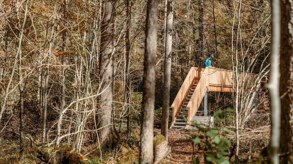 Nordic Walking Running Lap Milky Way - Touren-Impression #2.8