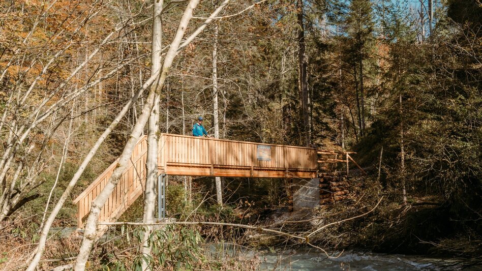 Nordic Walking Running Lap Milky Way - Touren-Impression #2.9