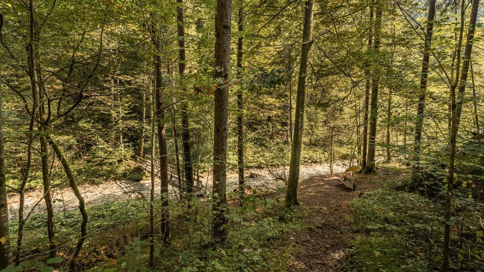 Nordic Walking Zinkgraben running curcuit - Touren-Impression #2.1