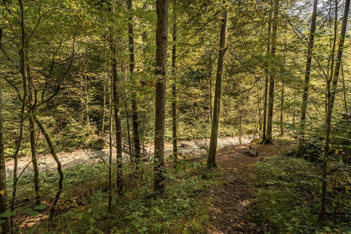 Nordic Walking Zinkgraben running curcuit - Touren-Impression #1