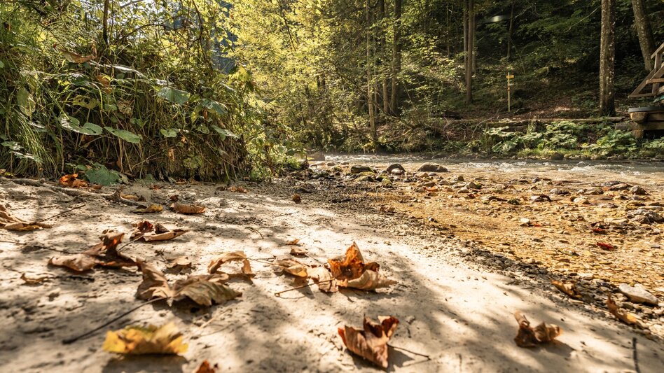 Nordic Walking Zinkgraben running curcuit - Touren-Impression #2.2