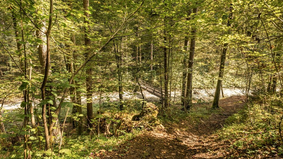 Nordic Walking Zinkgraben running curcuit - Touren-Impression #2.3