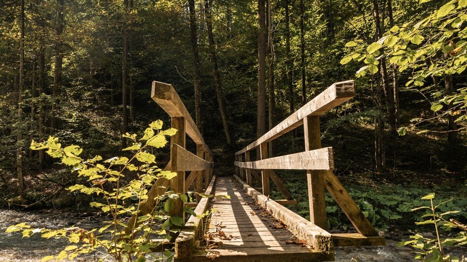 Nordic Walking Zinkgraben running curcuit - Touren-Impression #2.4