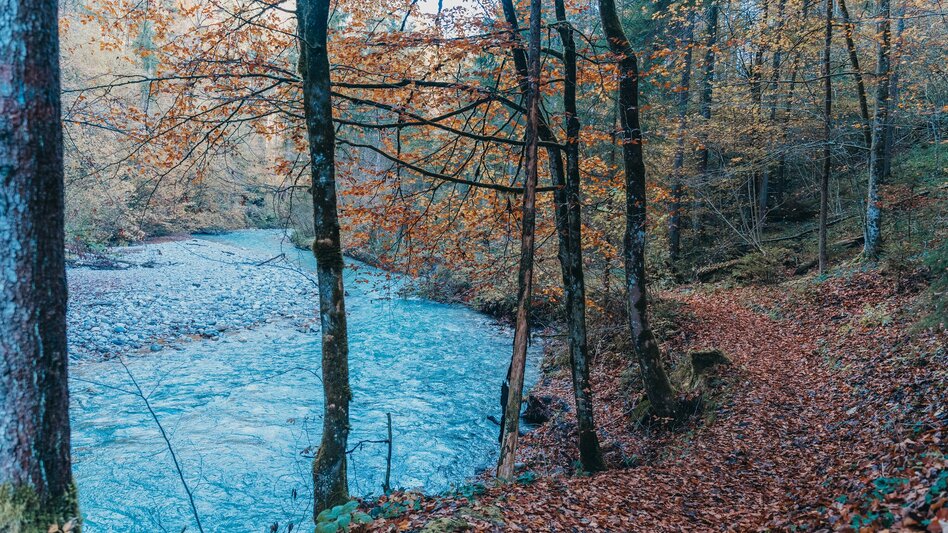 Nordic Walking Zinkgraben running curcuit - Touren-Impression #2.11