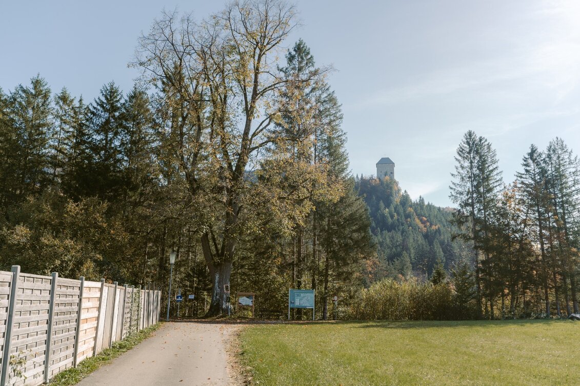 Nordic Walking Petrol station running curcuit - Touren-Impression #1