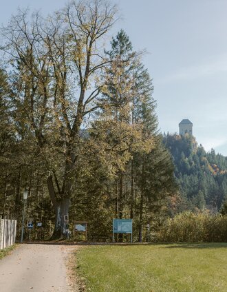 Zinkgraben_c_Barbara Nachbagauer_NUP_24.jpg