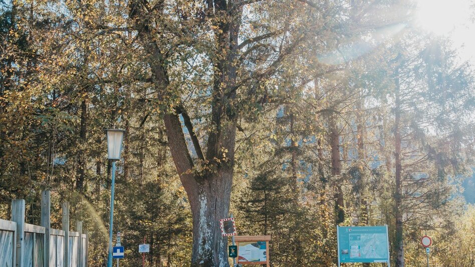 Nordic Walking Petrol station running curcuit - Touren-Impression #2.3