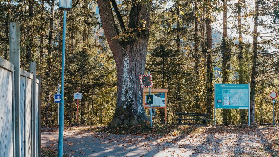 Nordic Walking Petrol station running curcuit - Touren-Impression #2.4