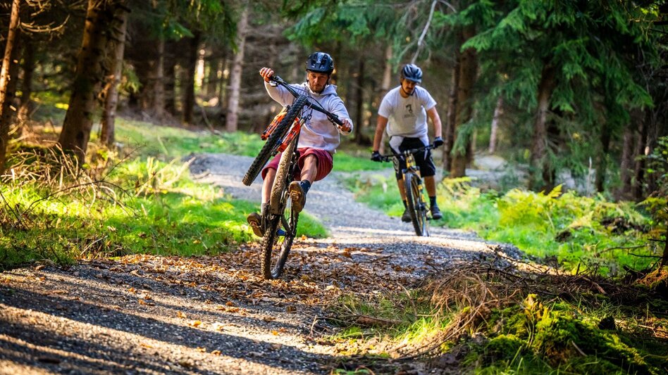 Mountain Biking Hoftaltrail - barrierefreier Trail - Touren-Impression #2.2
