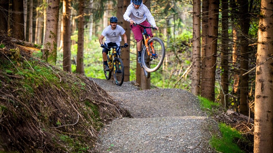 Mountain Biking Hoftaltrail - barrierefreier Trail - Touren-Impression #2.4