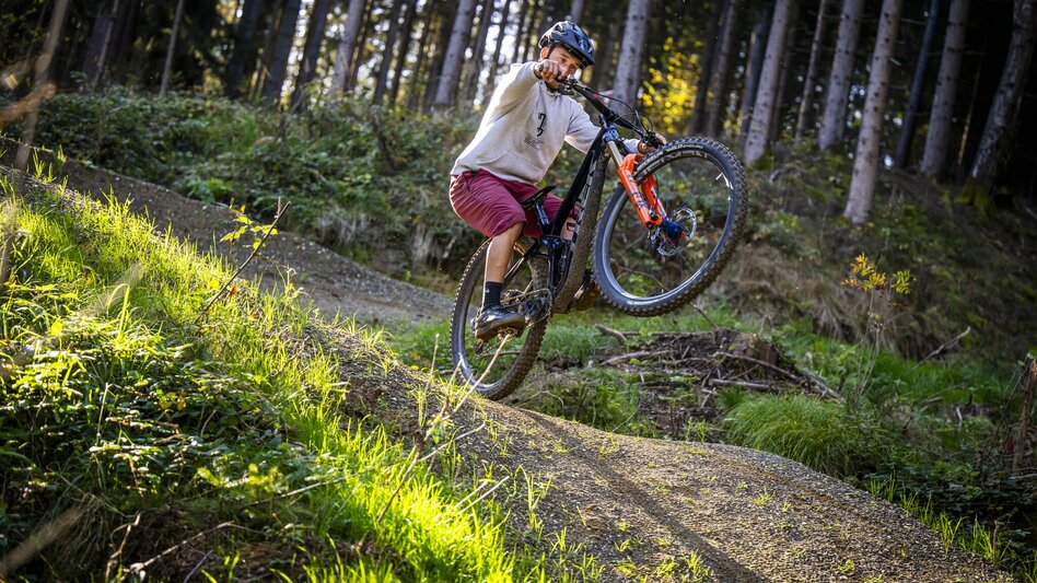 Mountain Biking Hoftaltrail - barrierefreier Trail - Touren-Impression #2.5