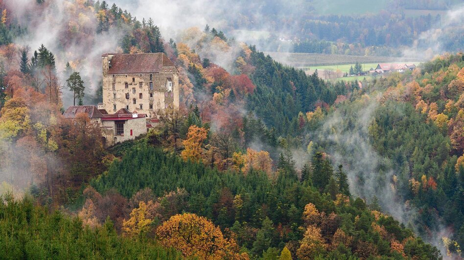 Road Cycling Castles and palaces round - Touren-Impression #2.3