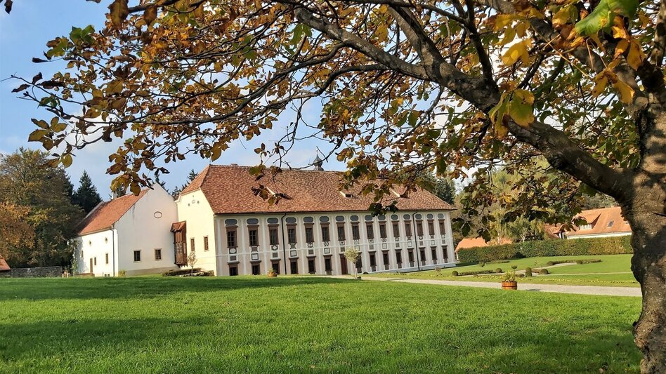 Road Cycling Castles and palaces round - Touren-Impression #2.7 | © Oststeiermark Tourismus