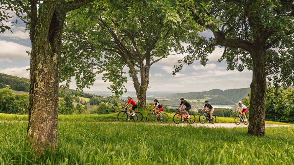 Road Cycling Castles and palaces round - Touren-Impression #2.1